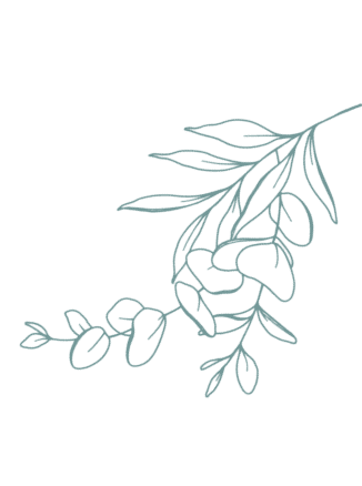 Simple line drawing of leaves on black.